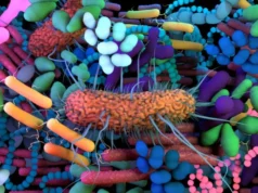 microbiome analysis