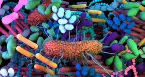 microbiome analysis